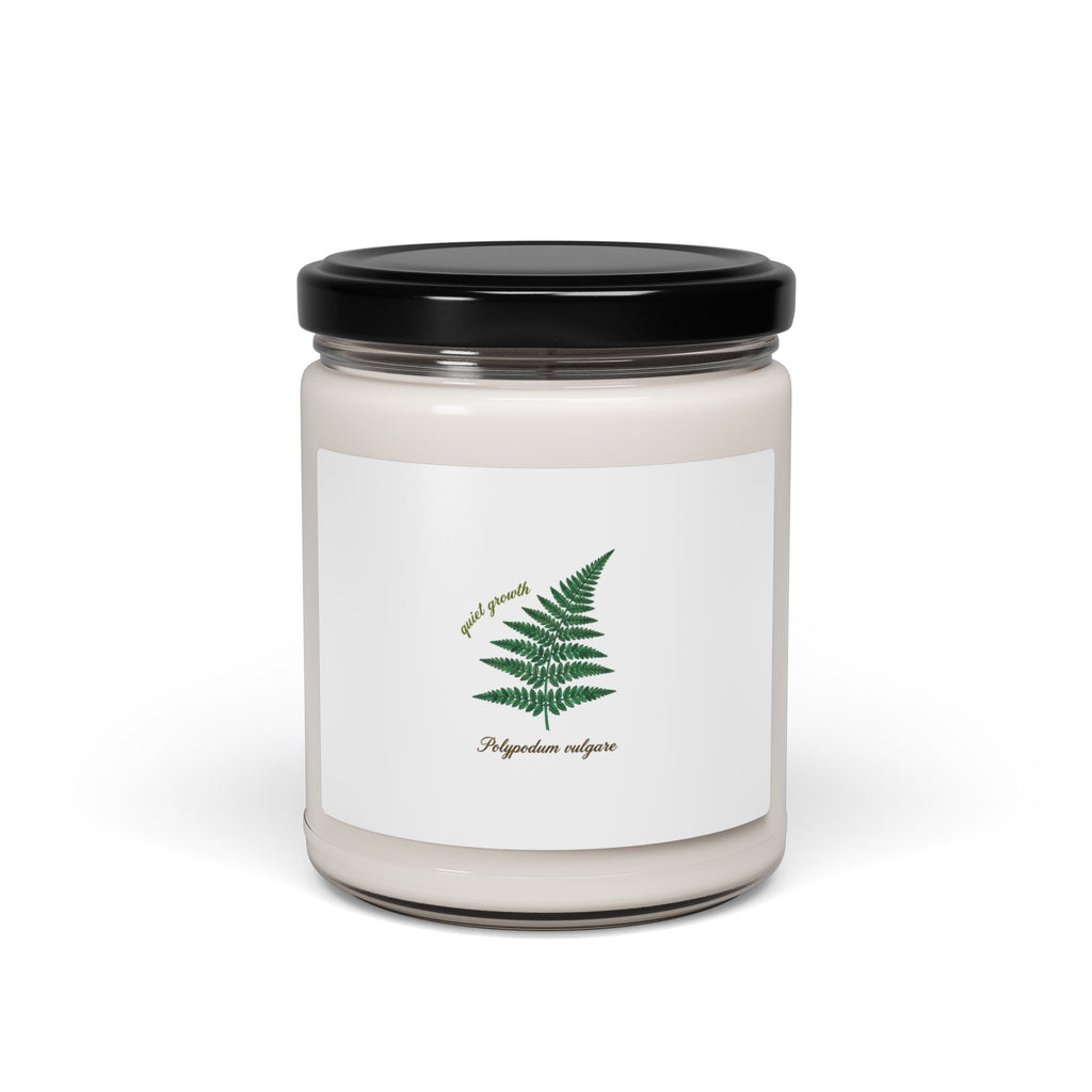 Botanical Fern Illustration Candle | Scented Soy Candle, Herbarium Label, Scientific Nature Art